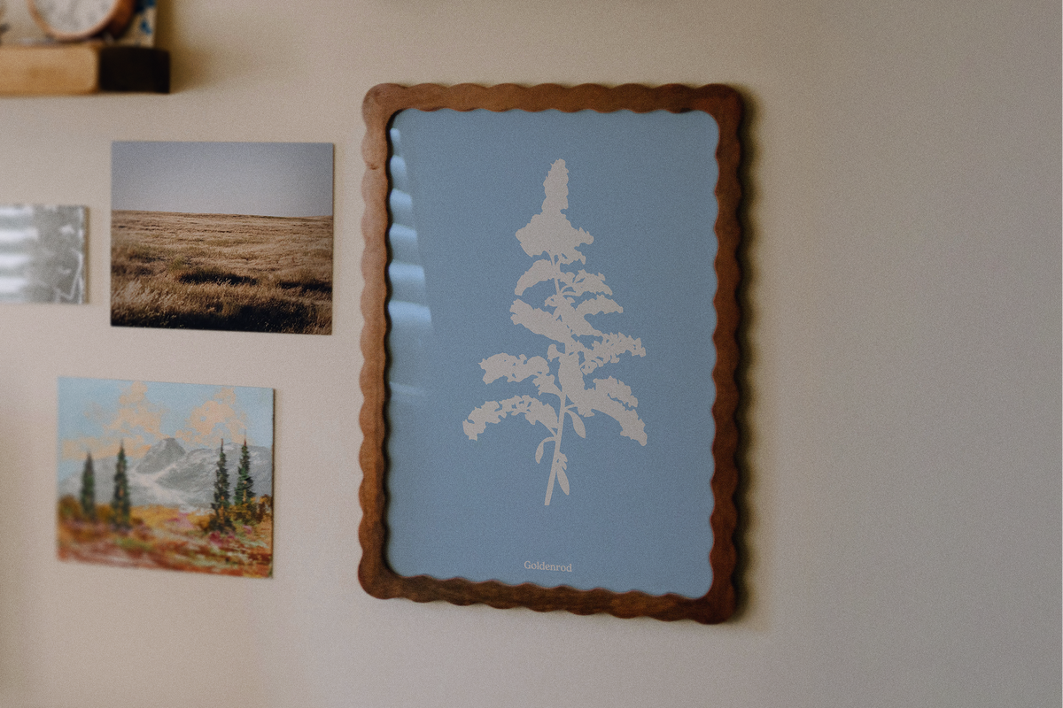 An art print featuring a white silhouette of goldenrod on a light blue background framed in a vintage walnut frame.