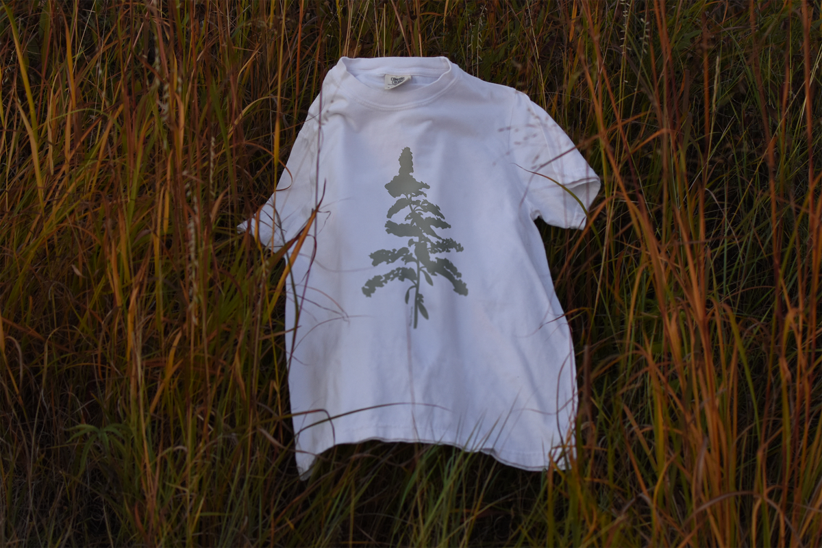 Goldenrod Silhouette Unisex T-shirt | Plant Prairie